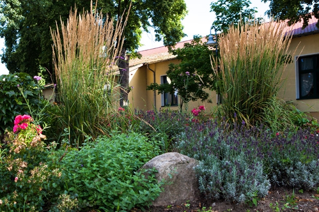 Vorgarten / Gartenbau Maltzahn - Pflanzungen von Stauden und Gehölzen im Großraum Schwerin