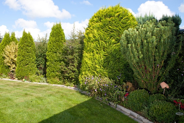 Gartenbau Maltzahn - Pflanzungen von Stauden und Gehölzen im Großraum Schwerin