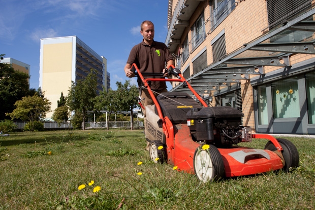 Rasen anlegen, erneuern und pflegen / Gartenbau Maltzahn - Gartenpflege im Großraum Schwerin