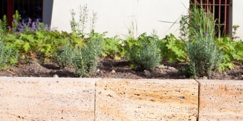 Vorgarten / Gartenbau Maltzahn - Pflanzungen von Stauden und Gehölzen im Großraum Schwerin