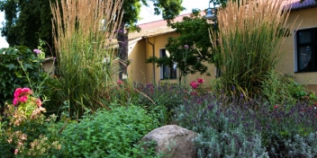 Vorgarten / Gartenbau Maltzahn - Pflanzungen von Stauden und Gehölzen im Großraum Schwerin