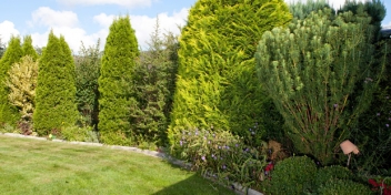 Gartenbau Maltzahn - Pflanzungen von Stauden und Gehölzen im Großraum Schwerin